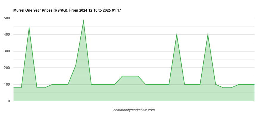 Murrel Price - One Year Chart Murrel Price - One Year Chart