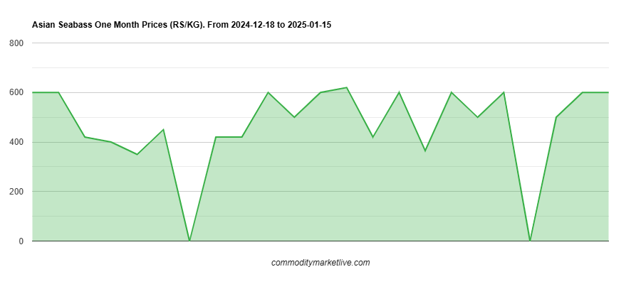 Asian Seabass Price - One Month Chart