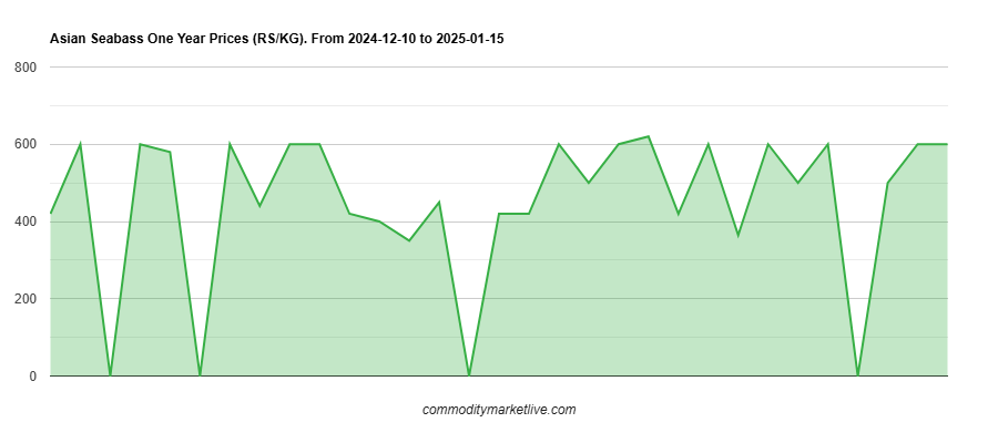Asian Seabass Price - One Year Chart