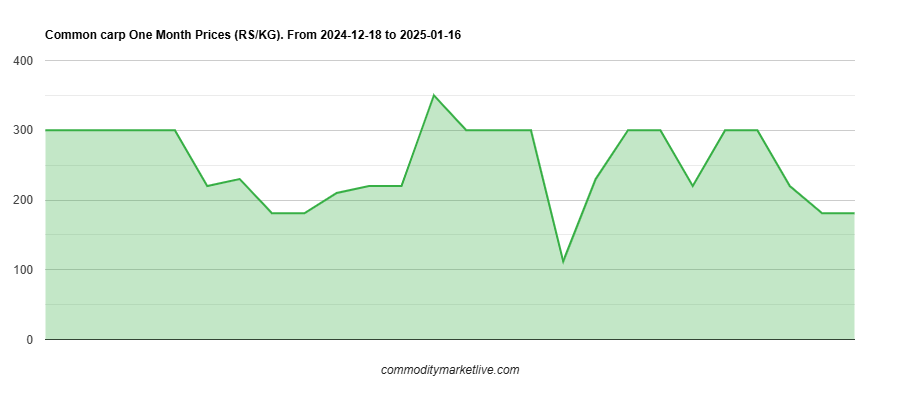 Common Carp Price - One Month Chart