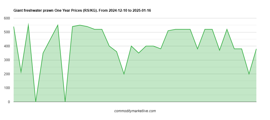 Giant Freshwater Prawn Price - One Year Chart