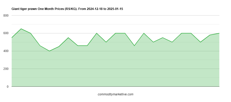 Giant Tiger Prawn Price - One Month Chart