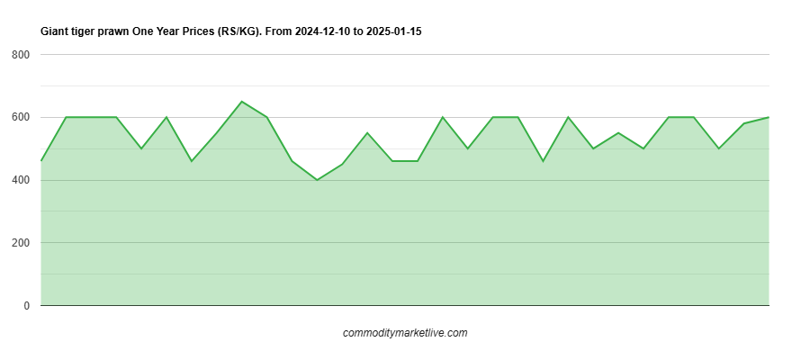 Giant Tiger Prawn Price - One Year Chart