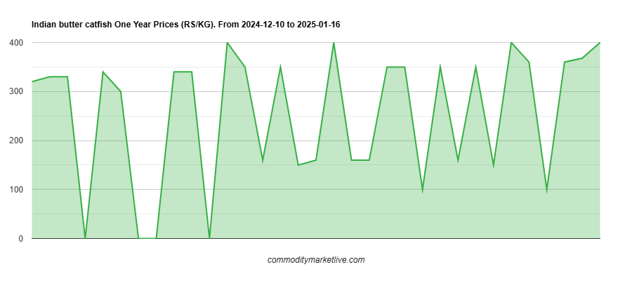 Indian Butter Catfish Price - One Year Chart