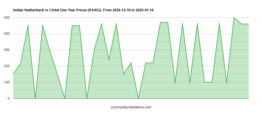 Indian Featherback Or Chital Price - One Year Chart Indian Featherback Or Chital Price - One Year Chart
