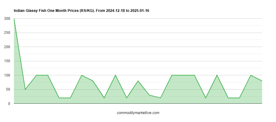 Indian Glassy Fish Price - One Month Chart