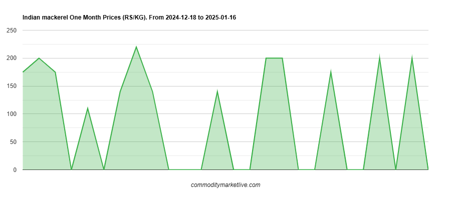 Indian Mackerel Price - One Month Chart
