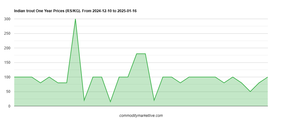 Indian Trout Price - One Year Chart