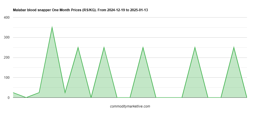 Malabar Blood Snapper Price - One Month Chart