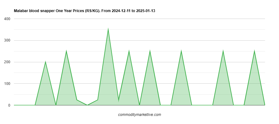 Malabar Blood Snapper Price - One Year Chart