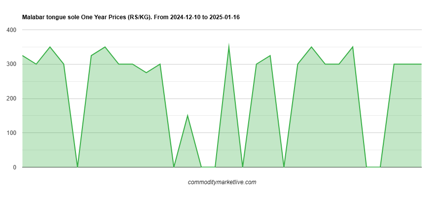Malabar Tongue Sole Price - One Year Chart Malabar Tongue Sole Price - One Year Chart