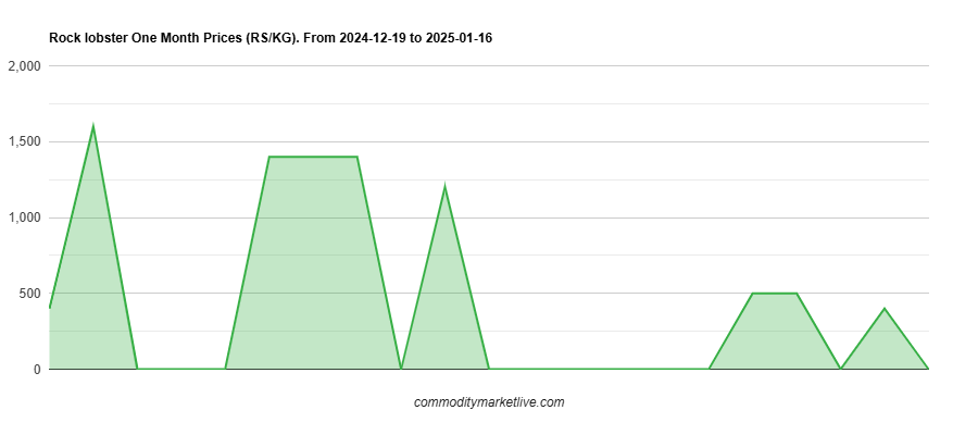 Rock Lobster Price - One Month Chart