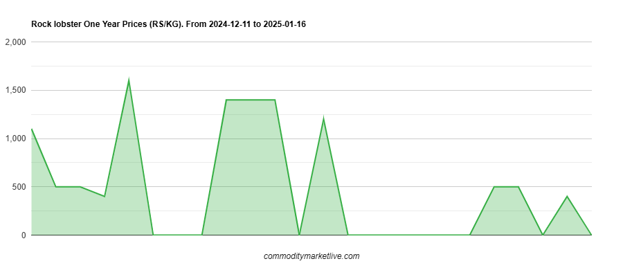 Rock Lobster Price - One Year Chart