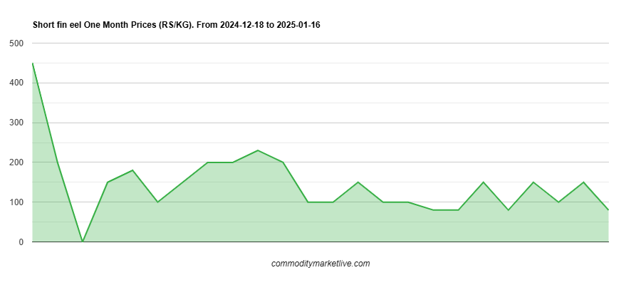 Short Fin Eel Price - One Month Chart