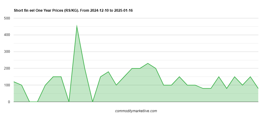 Short Fin Eel Price - One Year Chart