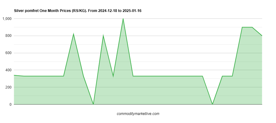 Silver Pomfret Price - One Month Chart Silver Pomfret Price - One Month Chart