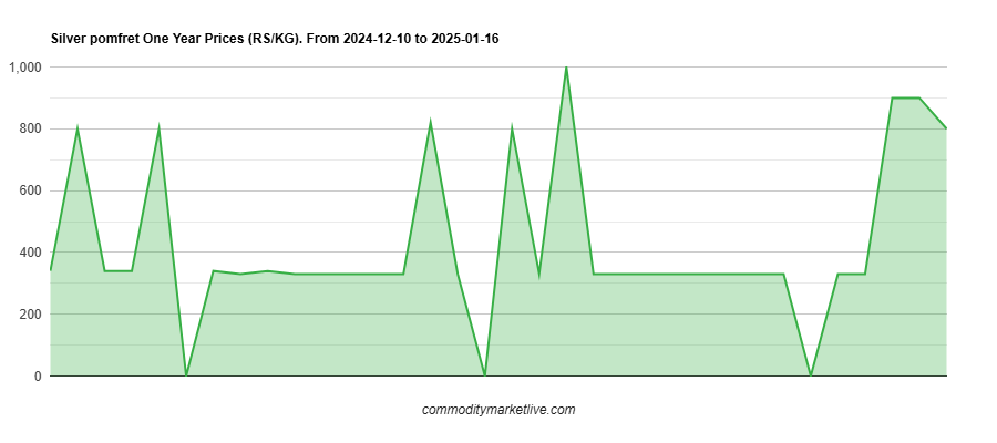Silver Pomfret Price - One Year Chart Silver Pomfret Price - One Year Chart