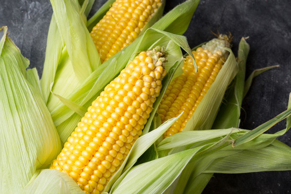 USDA Crop Progress report: Corn harvest coming to a close