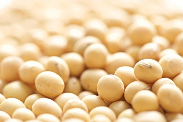 Louisiana is the first and only state to complete 2023 soybean harvest so far